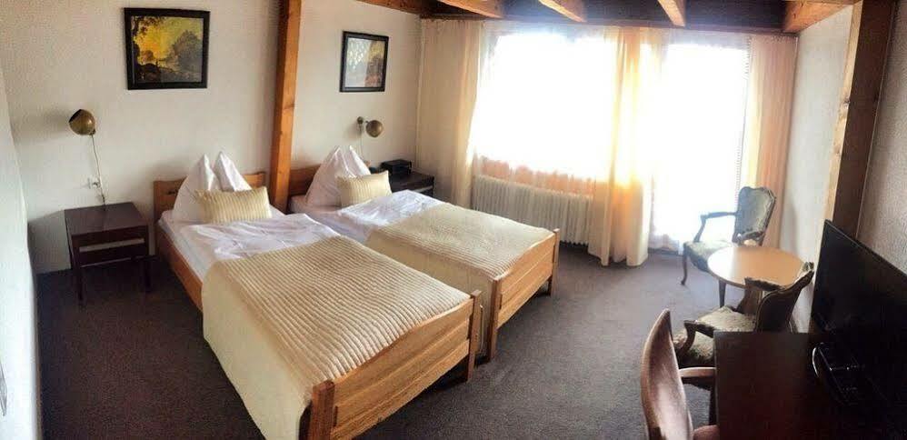 Bellevue Bären Hotel&restaurant Krattigen